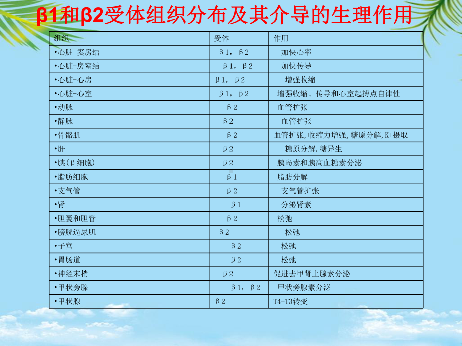 β肾上腺素能受体全面版课件.ppt_第3页