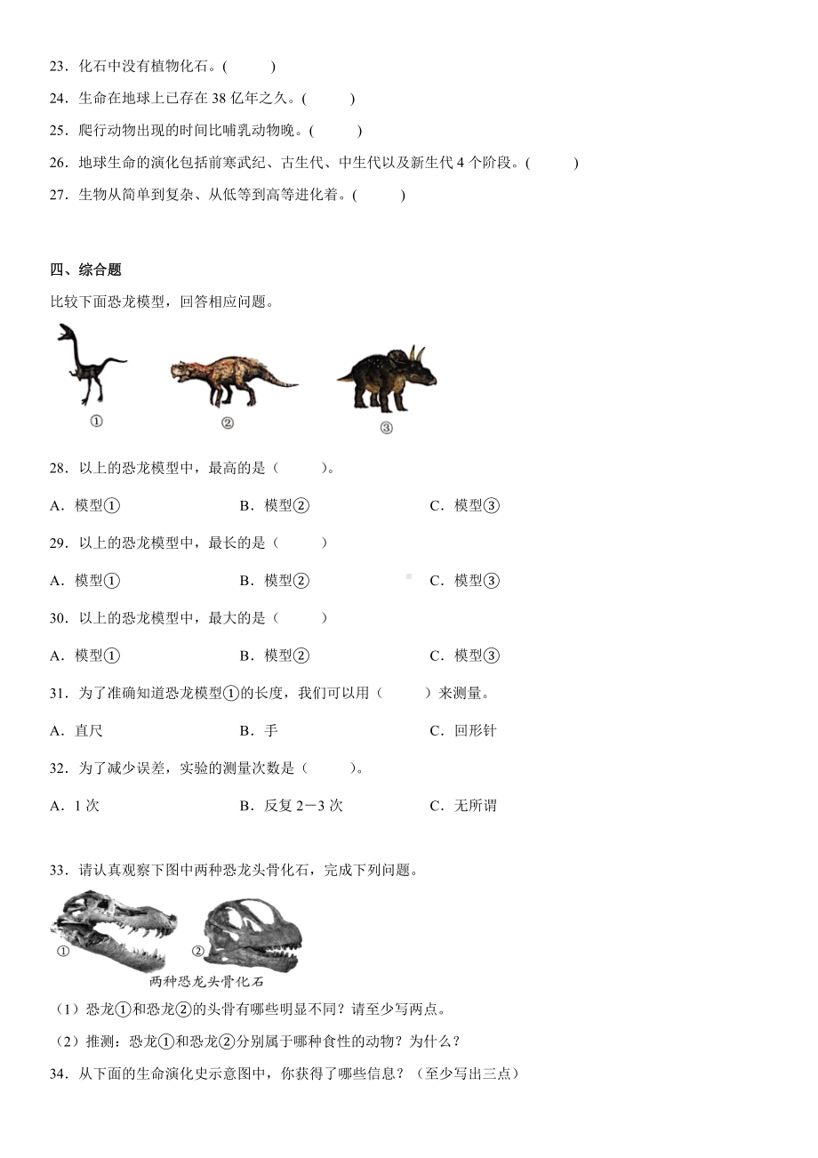 2022新苏教版六年级上册《科学》第三单元化石的奥秘（单元测试A）(含答案).docx_第3页