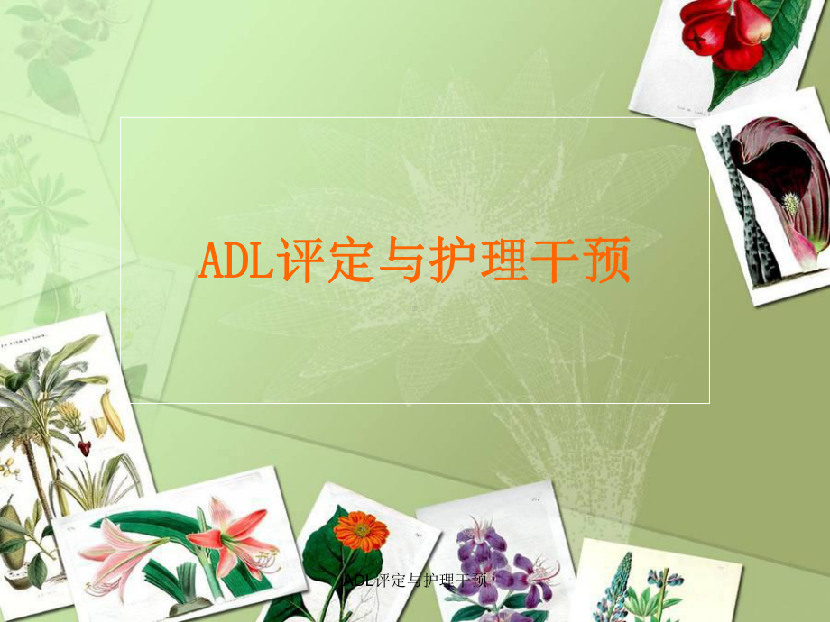 ADL评定与护理干预课件.ppt_第1页