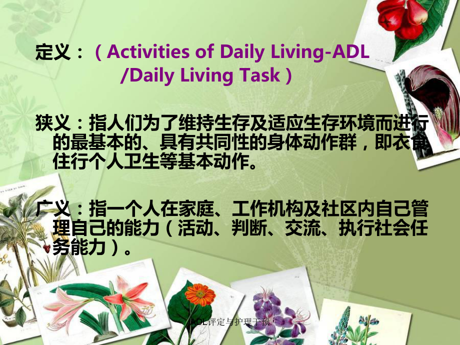 ADL评定与护理干预课件.ppt_第3页