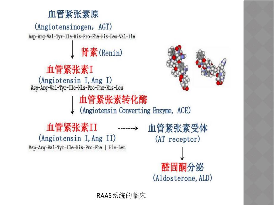 RAAS系统的临床培训课件.ppt_第3页