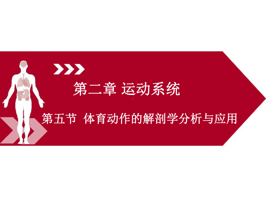 运动解剖学(第三版)课件第二章第五节体育动作的解剖学分析与应用.pptx_第1页