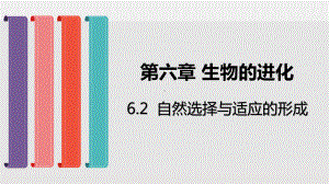 （人教版新教材）《自然选择与适应的形成》优质课件1.pptx