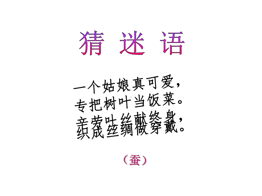 苏教版四年级科学下册《第2单元养蚕（全单元）》优质课件.pptx_第3页