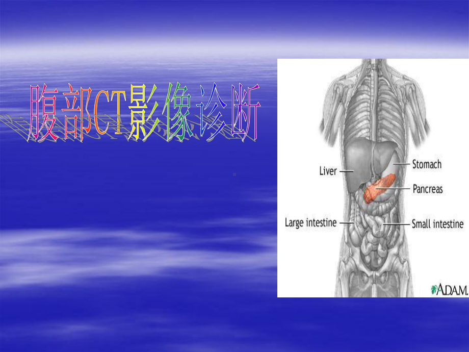 临床执业(助理)医师实践技能考试CT诊断学部份课件.ppt_第1页