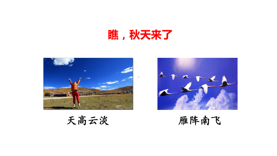 秋天课件（部编语文小学一年级上册公开课课件）.ppt_第2页