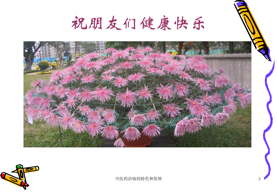 中医药治病的特色和优势培训课件.ppt_第2页