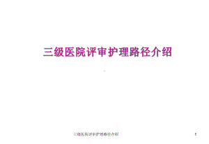 三级医院评审护理路径介绍课件.ppt