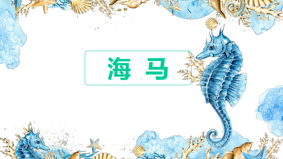 线描彩铅-海马课件.ppt_第1页