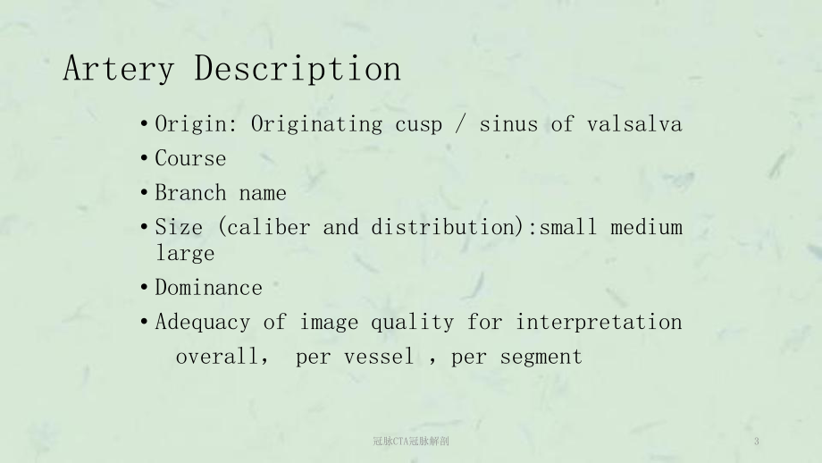 冠脉CTA冠脉解剖课件.ppt_第3页