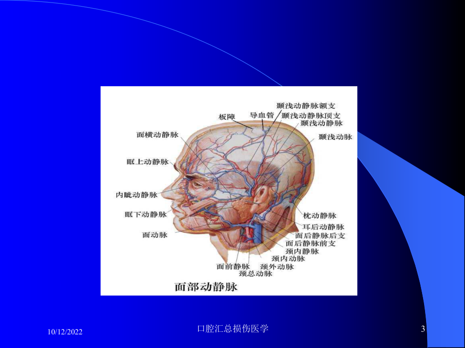 口腔汇总损伤医学课件.ppt_第3页