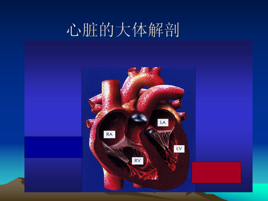 冠状动脉粥样硬化与介入治疗课件.ppt_第3页