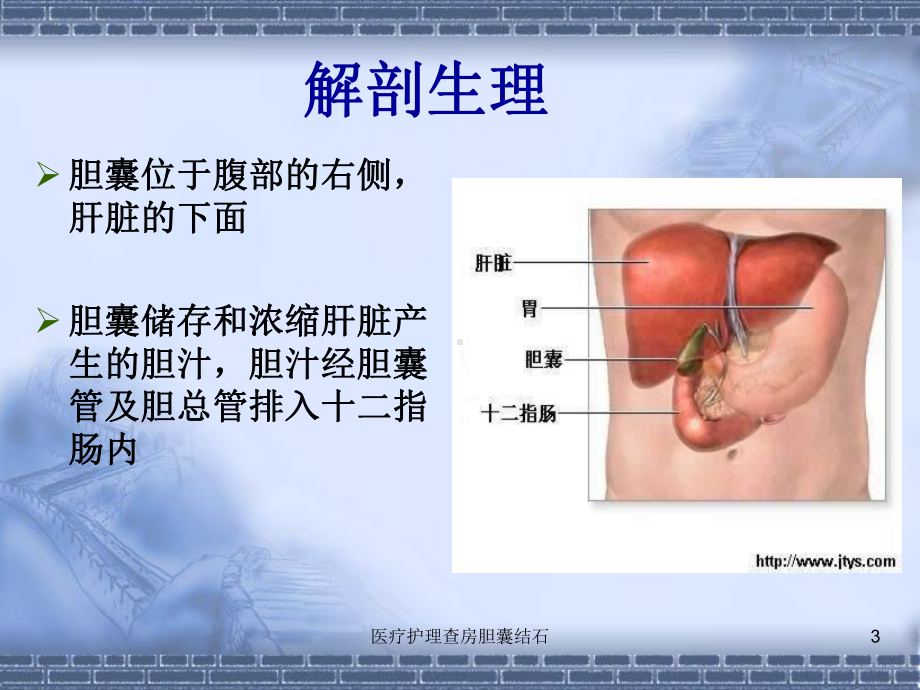 医疗护理查房胆囊结石培训课件.ppt_第3页