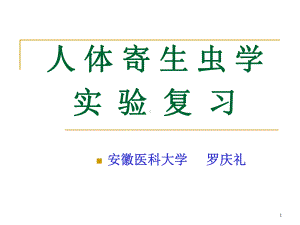 医学人体寄生虫学实验考试复习内容教学课件.ppt