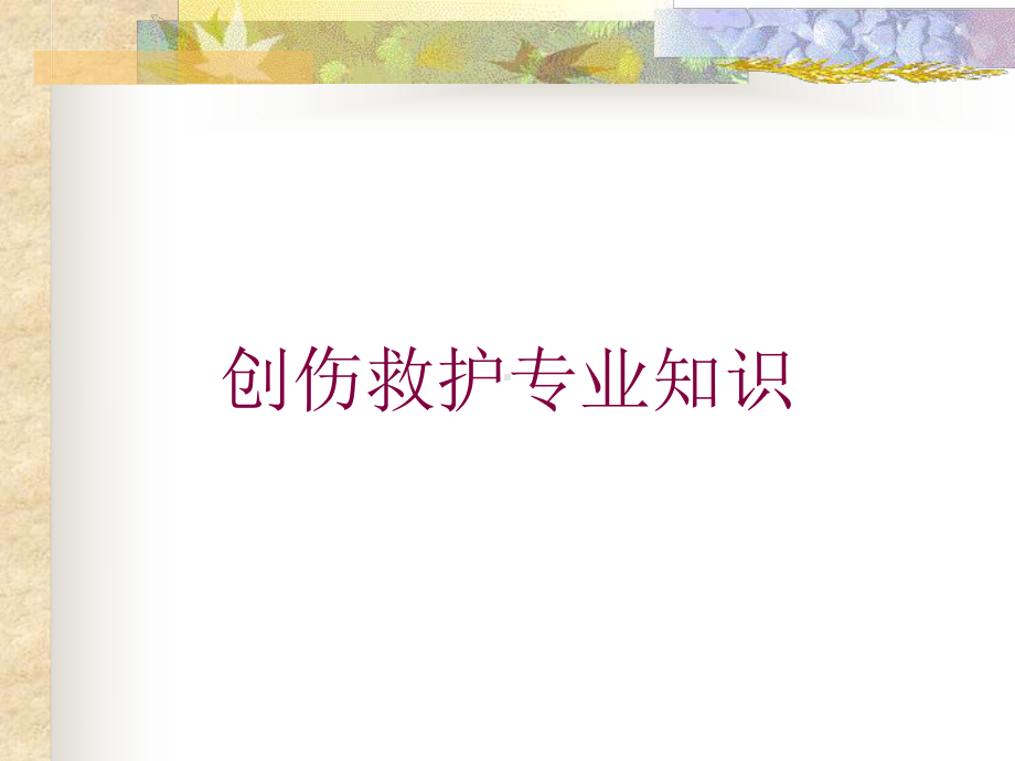 创伤救护专业知识培训课件.ppt_第1页