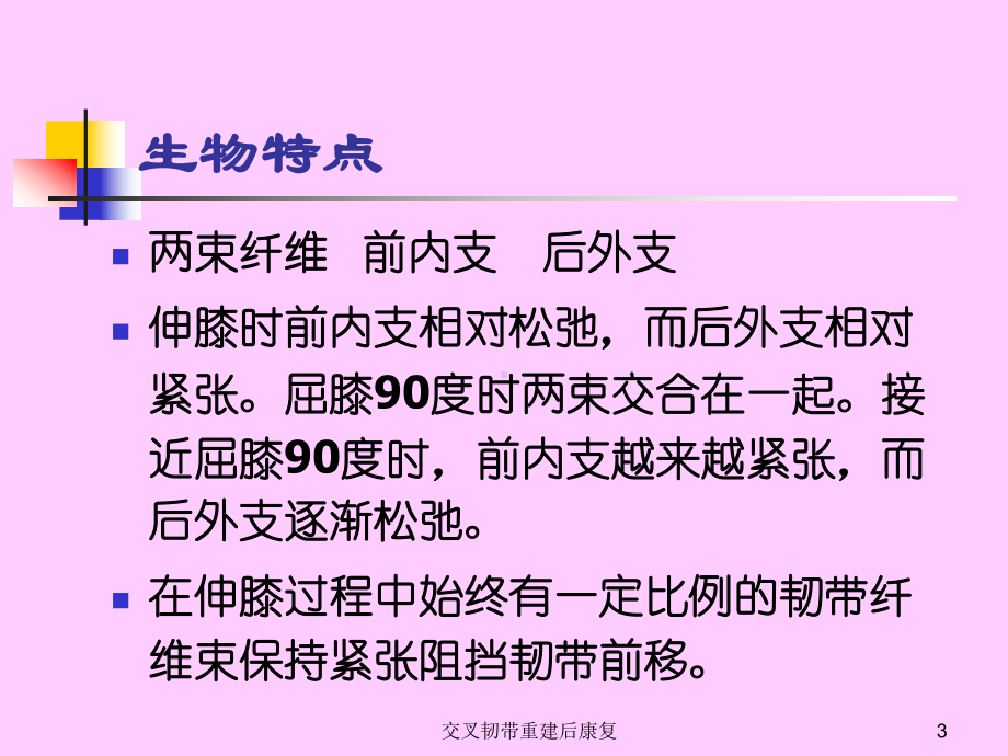 交叉韧带重建后康复课件.ppt_第3页