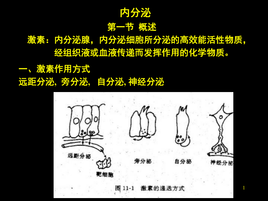 促甲状腺激素释放激素课件.pptx_第1页