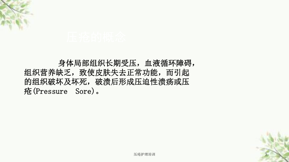 压疮护理培训课件.ppt_第3页