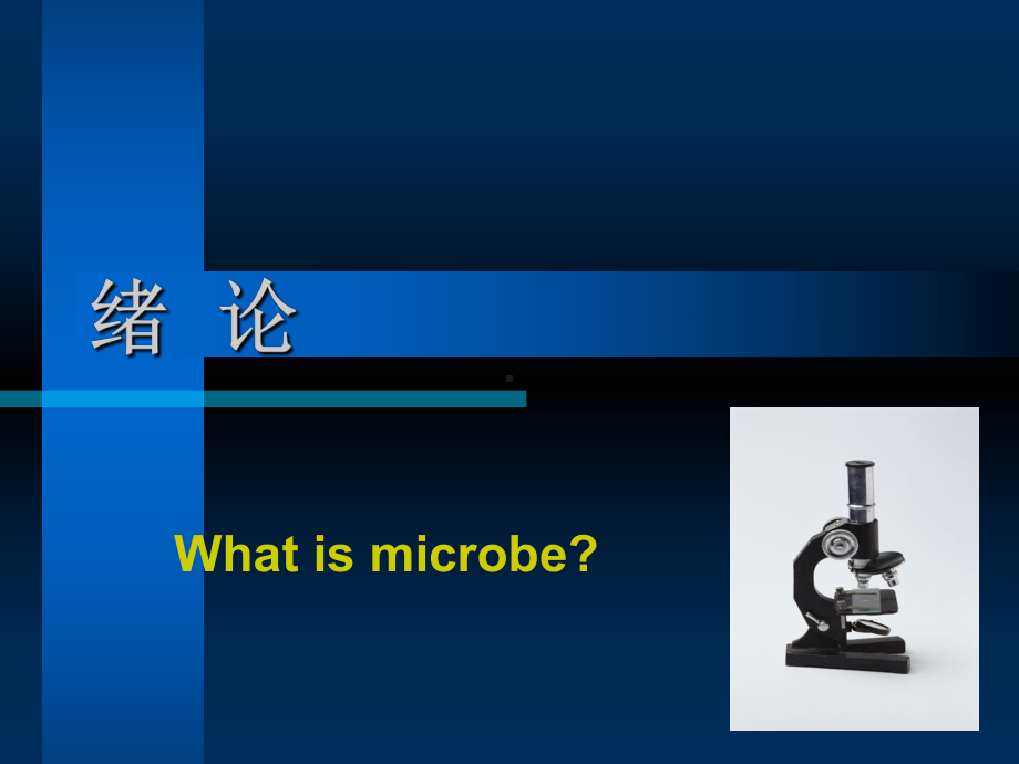 医学微生物学概述课件-2.ppt_第3页