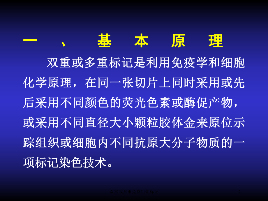 双重或多重免疫组化标记培训课件.ppt_第2页