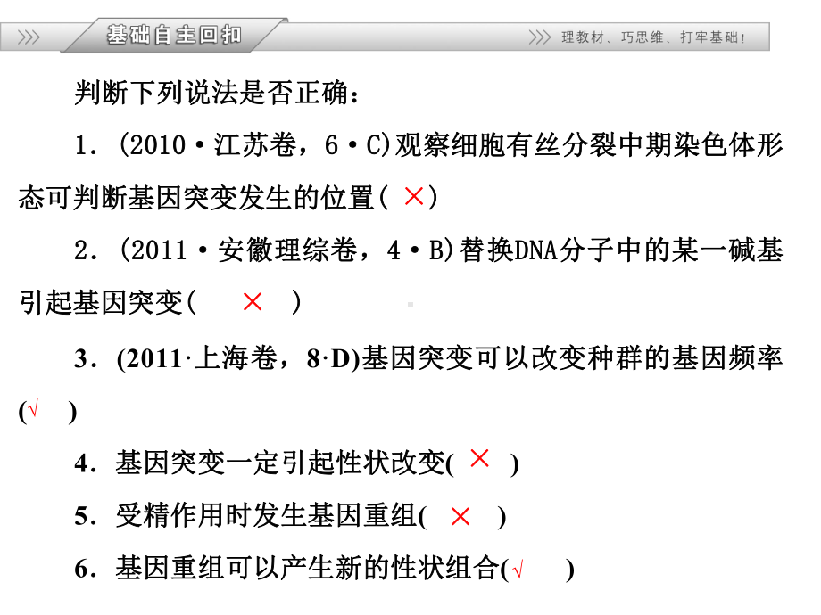 基因突变和基因重组-染色体变异课件.ppt_第2页