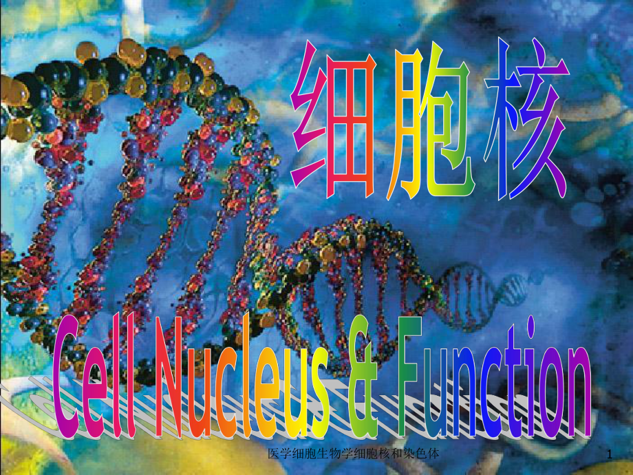 医学细胞生物学细胞核和染色体课件.ppt_第1页