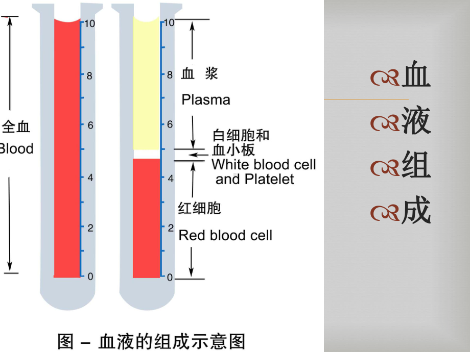 妊娠合并贫血诊断与治疗教学课件.pptx_第3页