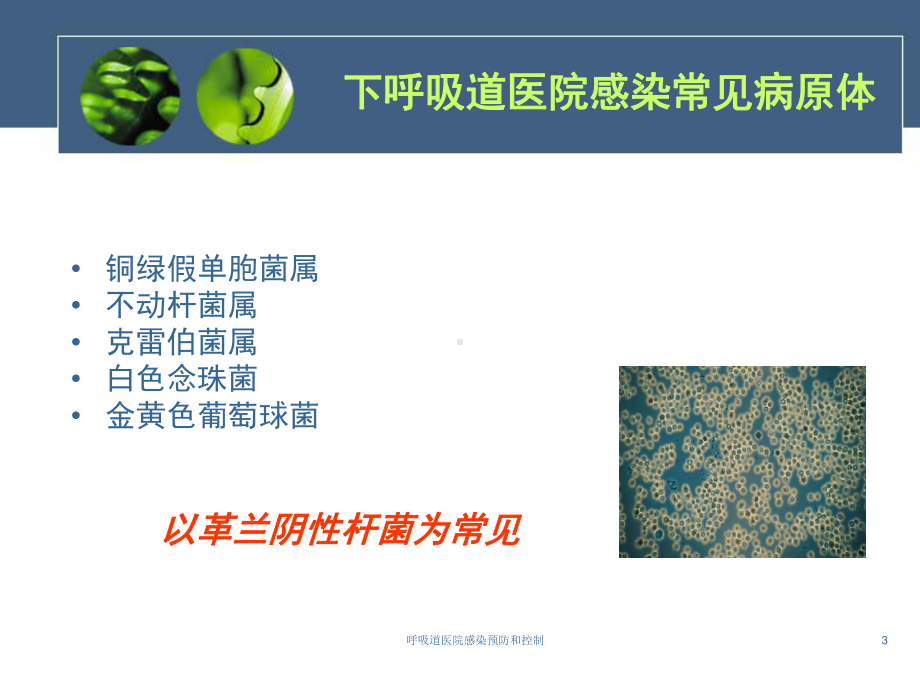 呼吸道医院感染预防和控制培训课件.ppt_第3页