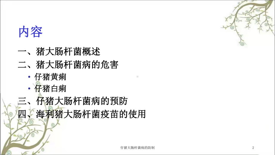 仔猪大肠杆菌病的防制课件.ppt_第2页