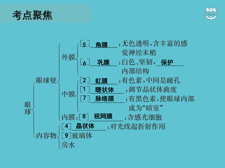 五四人体通过神经系统和内分泌系统调节生命活动x课件.ppt_第3页