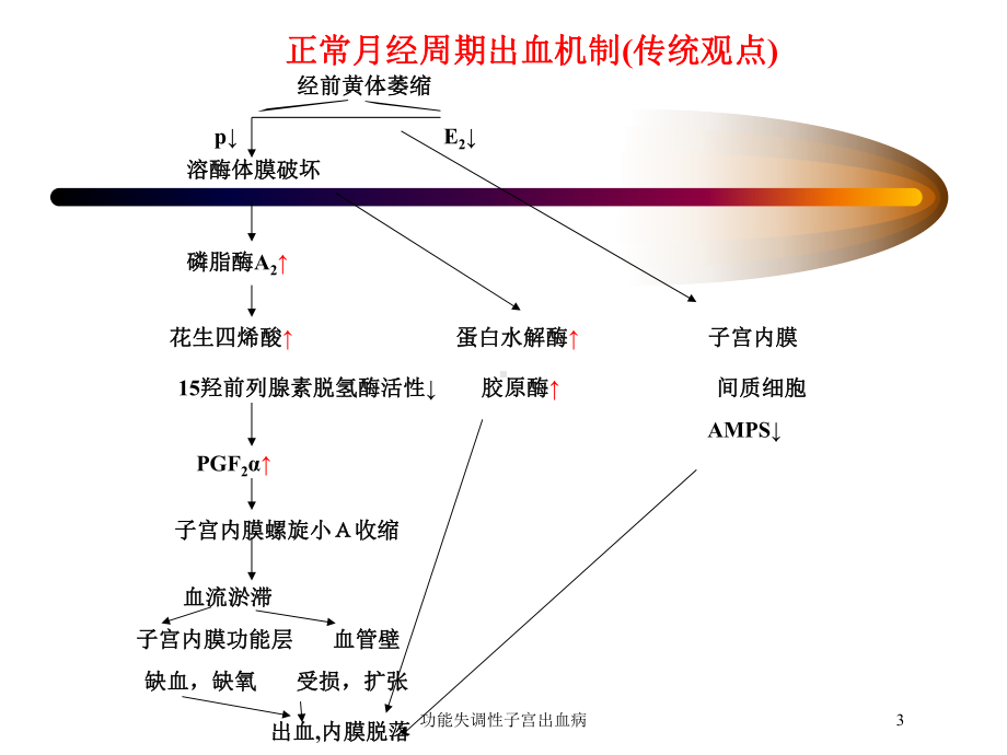 功能失调性子宫出血病培训课件.ppt_第3页