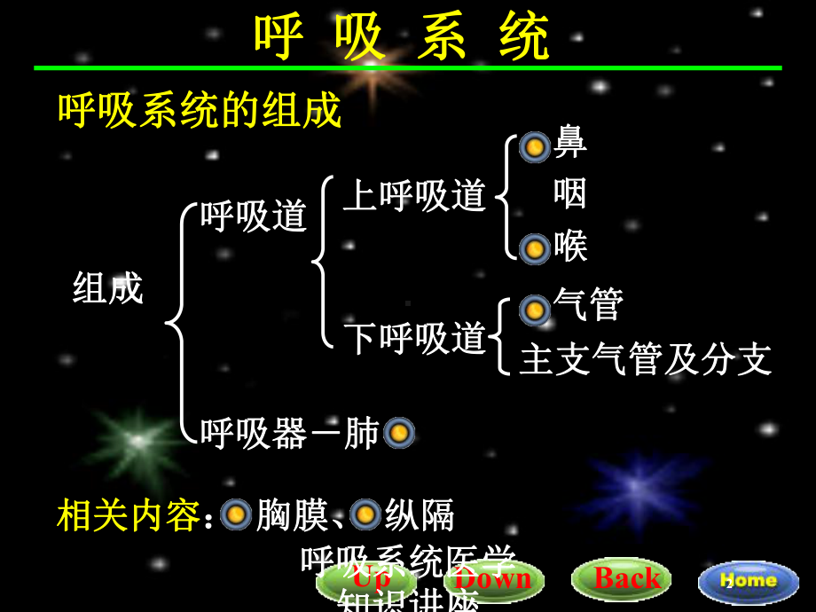 呼吸系统医学知识讲座培训课件.ppt_第2页