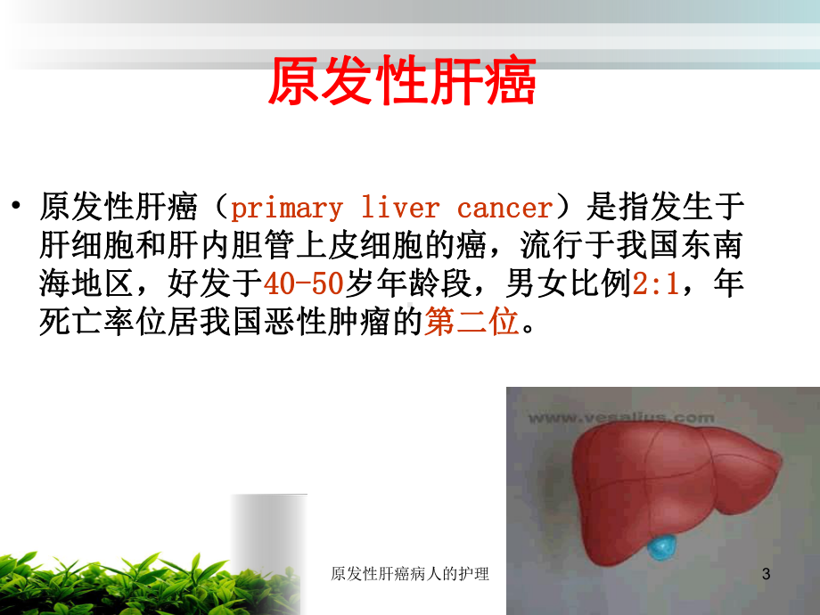 原发性肝癌病人的护理课件.ppt_第3页