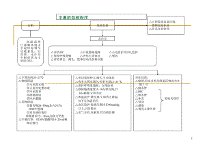 医学课件-急诊抢救程序教学课件.ppt