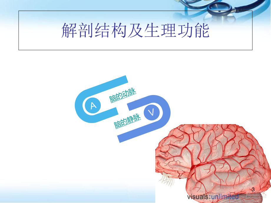 医学课件-脑血管的解剖课件.ppt_第3页