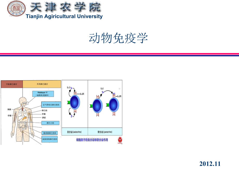 动物免疫学绪论课件.ppt_第1页