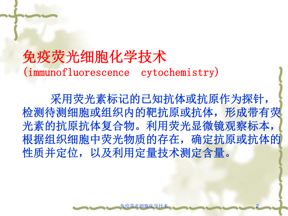 免疫荧光细胞化学技术培训课件.ppt_第2页