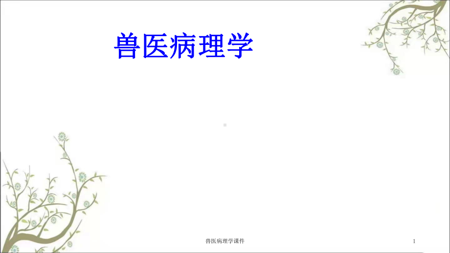 兽医病理学课件.ppt_第1页