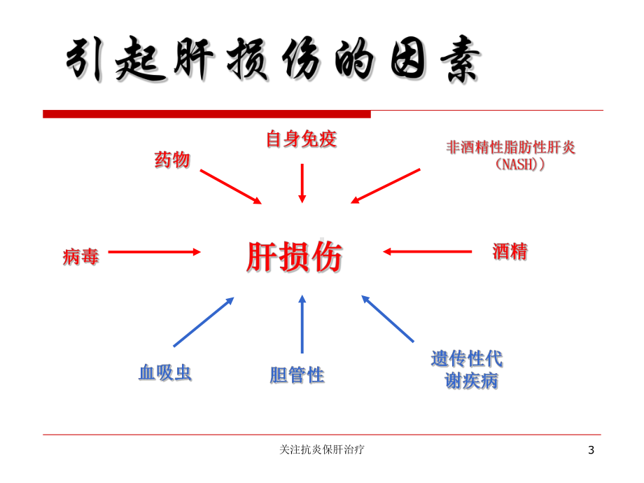 关注抗炎保肝治疗培训课件.ppt_第3页