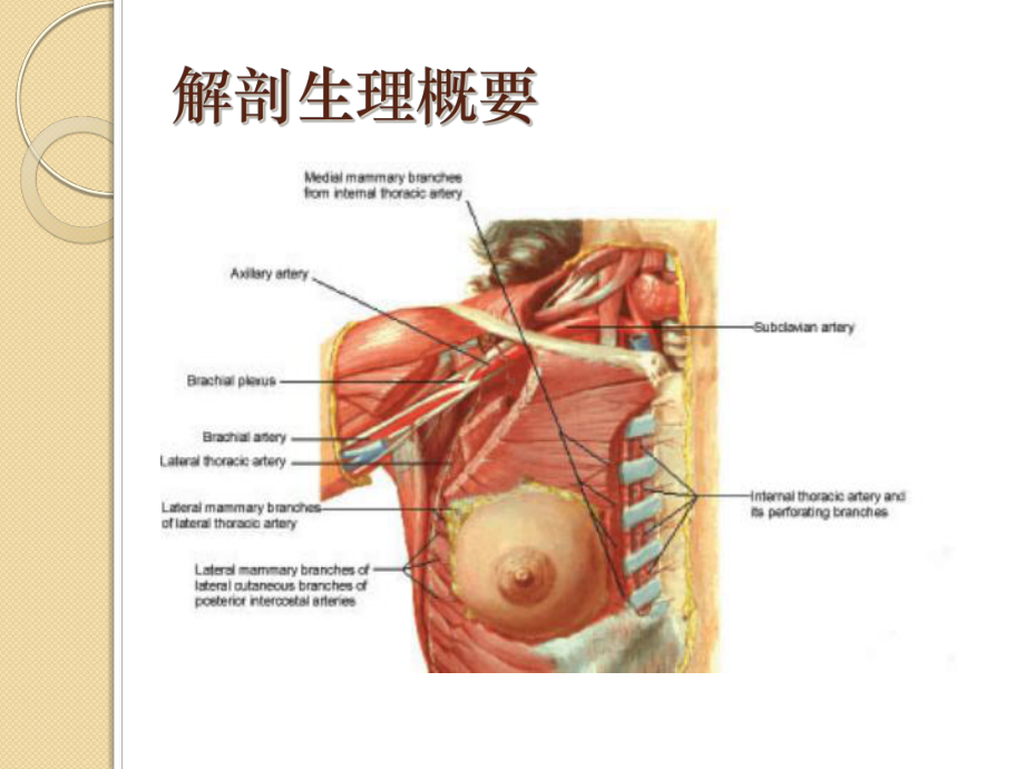 乳腺癌培训课件.ppt_第3页