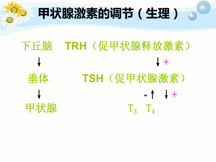 体外诊断试剂甲状腺疾病危害课件.pptx_第2页