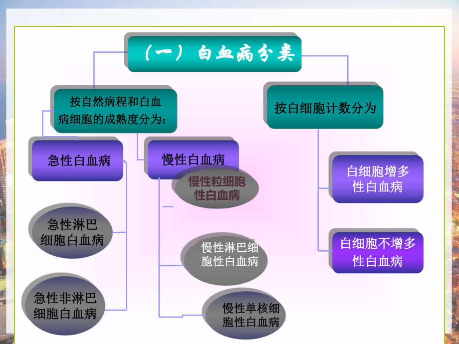 内科护理学白血病护理-课件.pptx_第3页