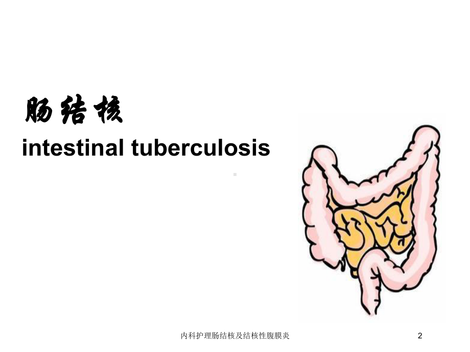 内科护理肠结核及结核性腹膜炎培训课件.ppt_第2页