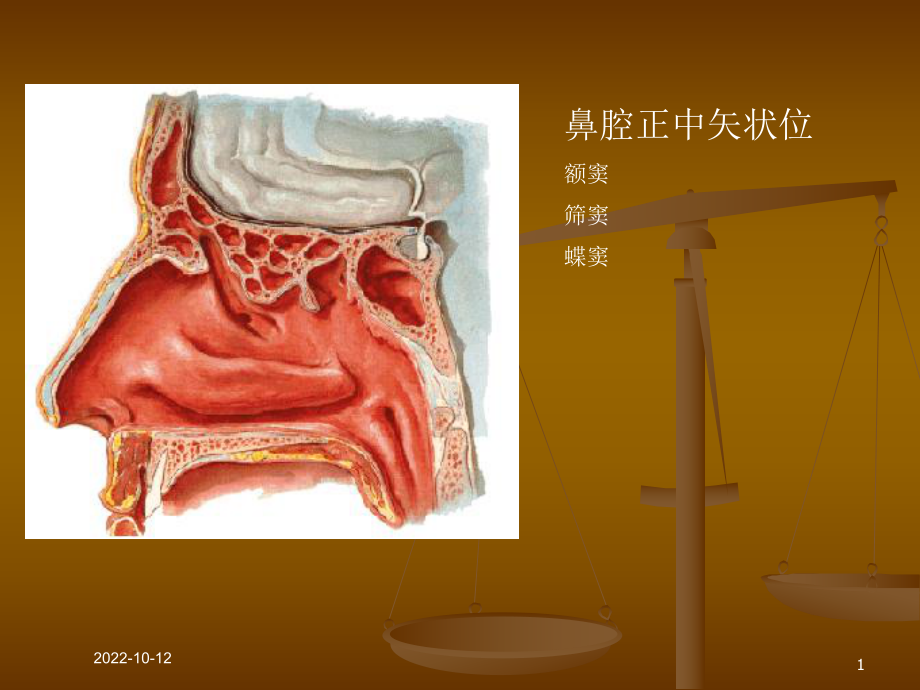 南昌大学医疗影像课程之鼻部课件.ppt_第1页