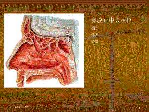 南昌大学医疗影像课程之鼻部课件.ppt