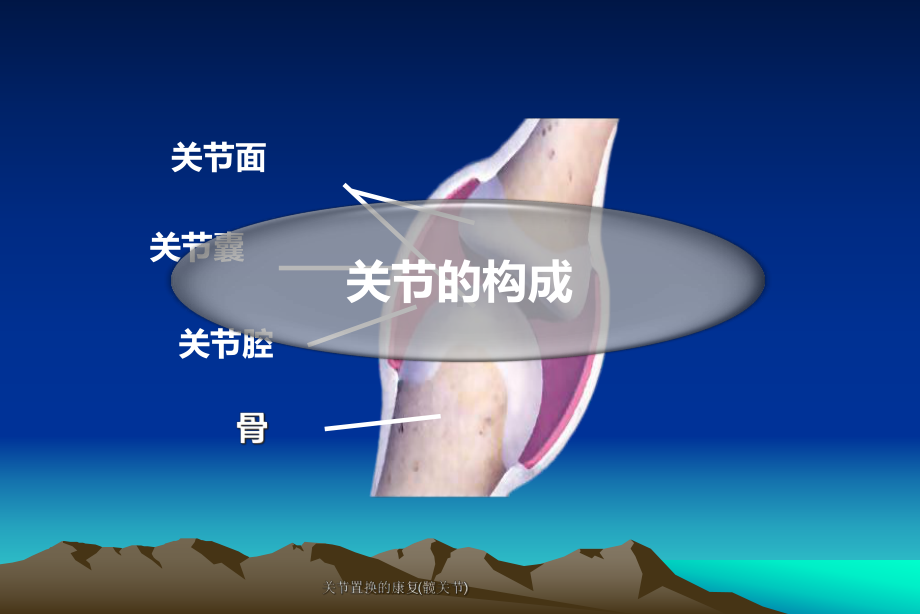 关节置换的康复(髋关节)课件.ppt_第2页