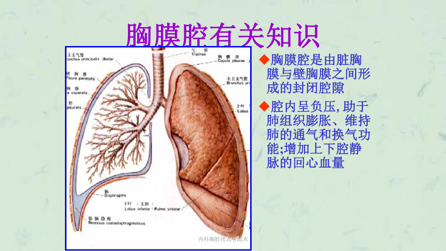 内科胸腔闭式引流术课件.ppt_第2页