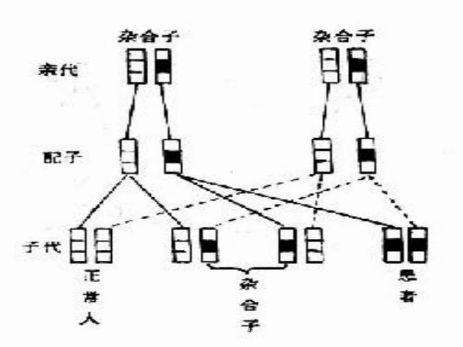 优生学概述医学知识专题讲座培训课件.ppt_第3页