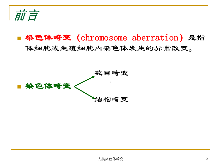 人类染色体畸变培训课件.ppt_第2页