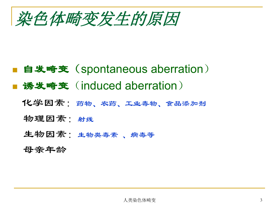 人类染色体畸变培训课件.ppt_第3页